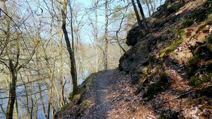 Klikni pro velký obrázek