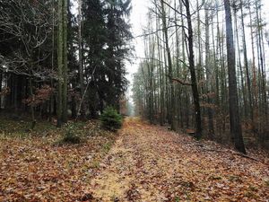 Klikni pro velký obrázek