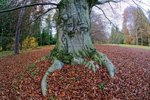 Klikni pro velký obrázek