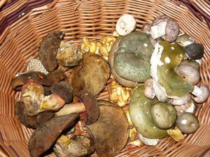 Klikni pro velký obrázek