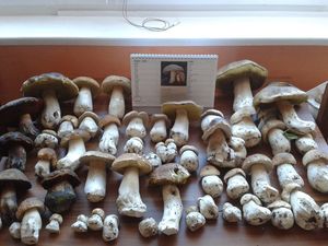 Klikni pro velký obrázek