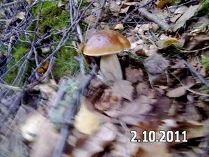 Klikni pro velký obrázek