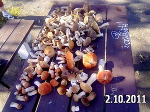 Klikni pro velký obrázek