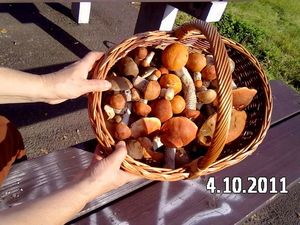 Klikni pro velký obrázek