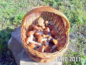 Klikni pro velký obrázek