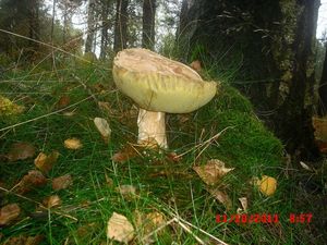 Klikni pro velký obrázek