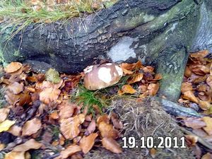 Klikni pro velký obrázek