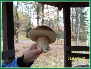 Klikni pro velký obrázek