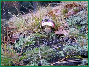 Klikni pro velký obrázek