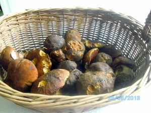 Klikni pro velký obrázek