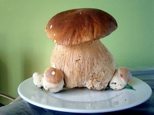 Klikni pro velký obrázek