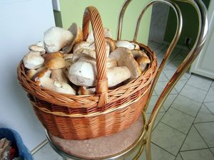 Klikni pro velký obrázek