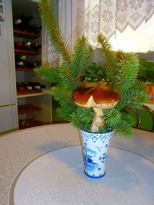 Klikni pro velký obrázek