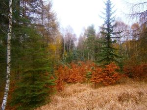 Klikni pro velký obrázek