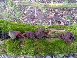 Klikni pro velký obrázek