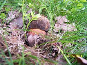 Klikni pro velký obrázek