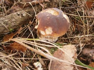 Klikni pro velký obrázek