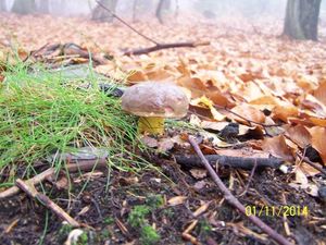 Klikni pro velký obrázek