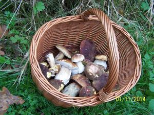 Klikni pro velký obrázek