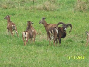 Klikni pro velký obrázek
