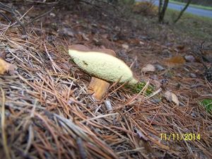 Klikni pro velký obrázek