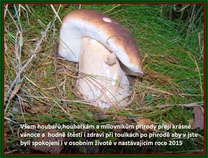 Klikni pro velký obrázek