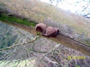 Klikni pro velký obrázek