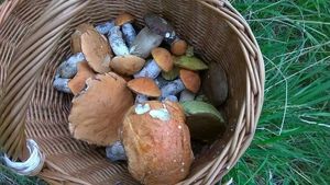 Klikni pro velký obrázek