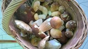 Klikni pro velký obrázek