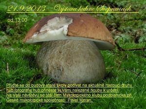 Klikni pro velký obrázek