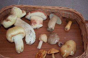 Klikni pro velký obrázek