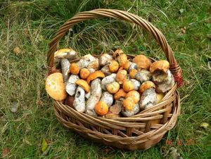 Klikni pro velký obrázek