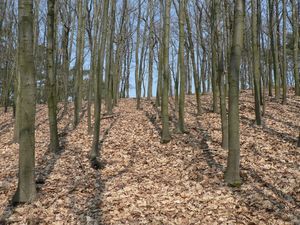 Klikni pro velký obrázek