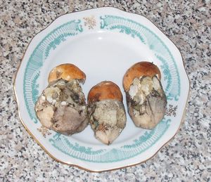 Klikni pro velký obrázek