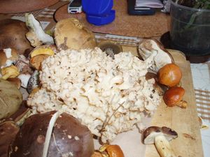 Klikni pro velký obrázek