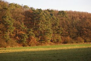 Klikni pro velký obrázek