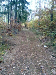 Klikni pro velký obrázek