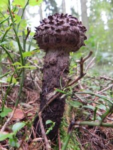 Klikni pro velký obrázek