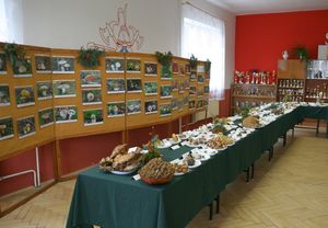 Klikni pro velký obrázek