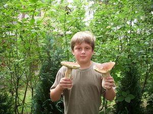 Klikni pro velký obrázek