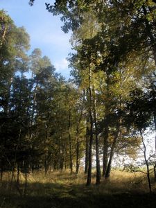 Klikni pro velký obrázek