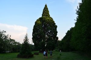 Klikni pro velký obrázek