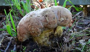 Klikni pro velký obrázek