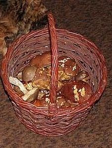 Klikni pro velký obrázek