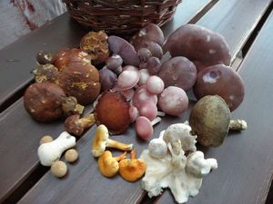 Klikni pro velký obrázek