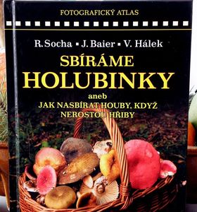 Klikni pro velký obrázek