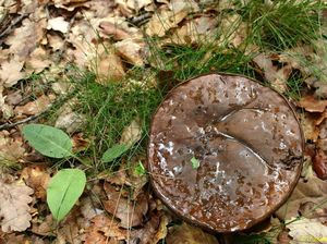 Klikni pro velký obrázek