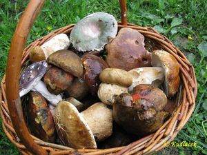 Klikni pro velký obrázek