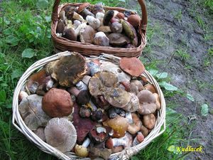 Klikni pro velký obrázek