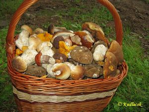 Klikni pro velký obrázek